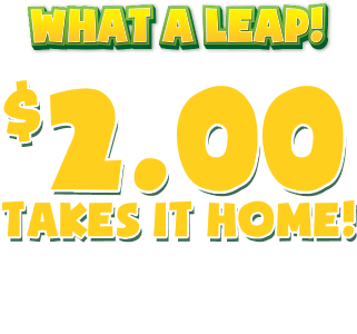 What a leap! $2.00 takes it home! on your next agreement!*Check your email for details.