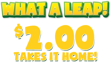 What a leap! $2.00 takes it home! on your next agreement!*Check your email for details.